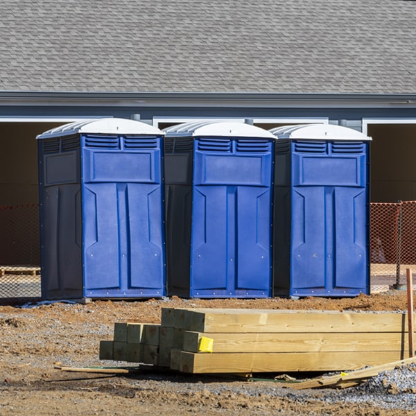 do you offer wheelchair accessible porta potties for rent in Victor CO